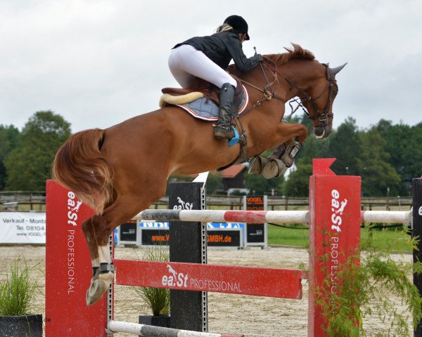jumper Forever Good (Hanoverian, 2009, from For Edition)