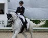 dressage horse Axiom (Swedish Warmblood, 1999, from D-Day)