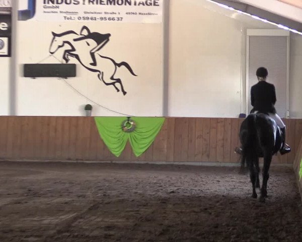 Reitturnier Dohren 2018