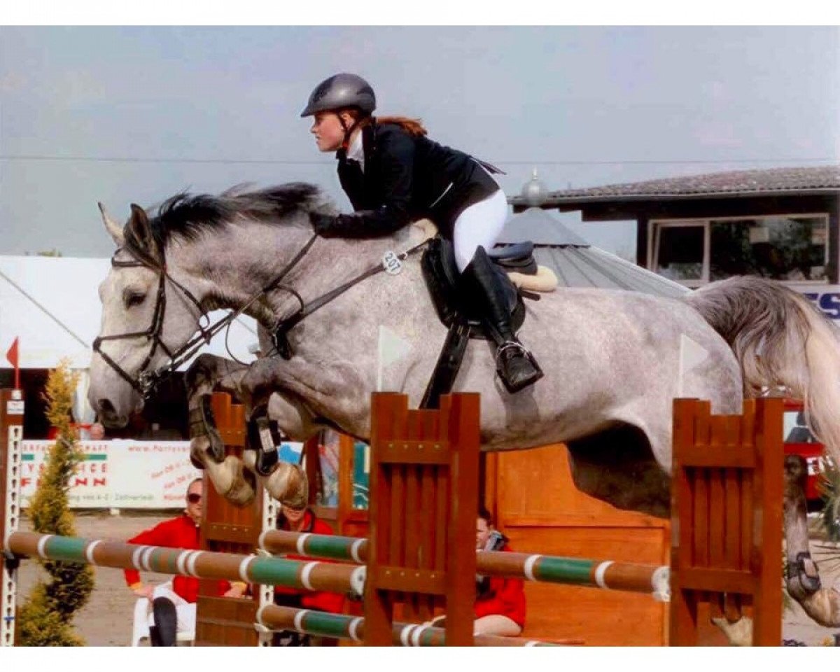 Springpferd Chamoer 3 (Westfale, 2004, von Capitalist)