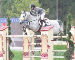 jumper Faro 117 (Hessian Warmblood, 2003, from For Keeps)