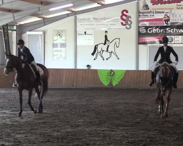 Reitturnier Dohren 2018