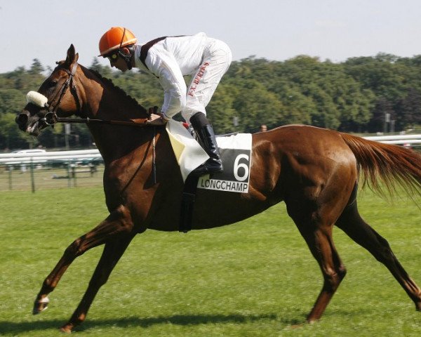 broodmare Via Ballycroy xx (Thoroughbred, 2009, from Lawman xx)