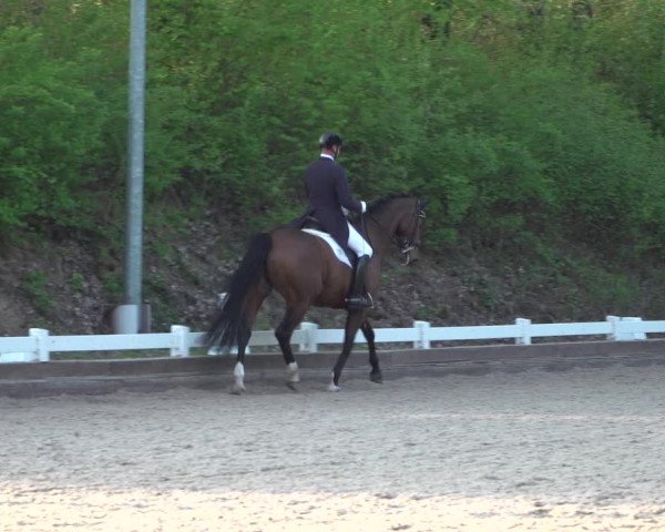 Reitturnier Mettmann - Reitanlage Löckenhoff 2018