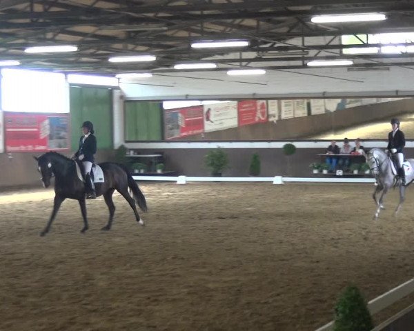 Reitturnier Jüchen-Waat 2018