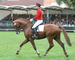 stallion Labiat (Hanoverian, 2004, from Le Primeur)