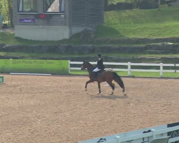 Reitturnier Kreuth 2018