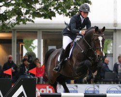 stallion Fantomas de Muze (Belgian Warmblood, 2005, from Sandro Boy)