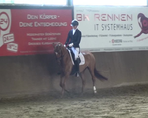 Reitturnier Jüchen-Waat 2018