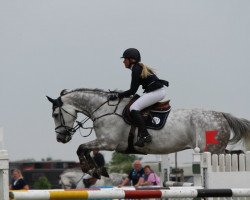 jumper Caitano 34 (Hanoverian, 2010, from Contagio)