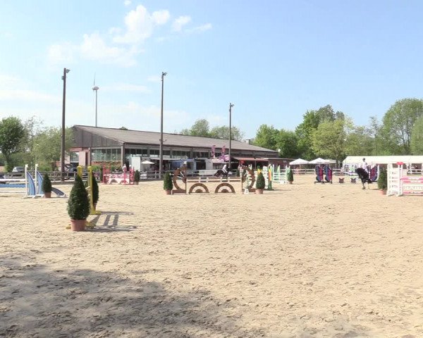Reitturnier Nienberge 2018