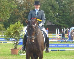 dressage horse Felix H 2 (Westphalian, 2005, from Fürst Piccolo)