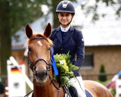 jumper Larina 142 (German Sport Horse, 2011, from Levistano)