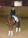 dressage horse Melli's Dinero (German Riding Pony, 2001, from Dornik B)