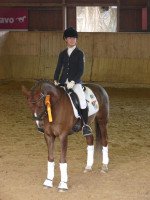 dressage horse Melli's Dinero (German Riding Pony, 2001, from Dornik B)