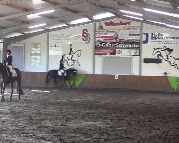 Reitturnier Dohren 2018