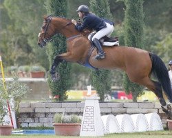 stallion Puissance (Irish Sport Horse, 1988, from Imperius xx)