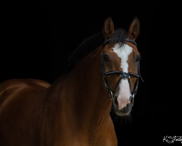 broodmare Attica (Holsteiner, 2002, from Alasca)