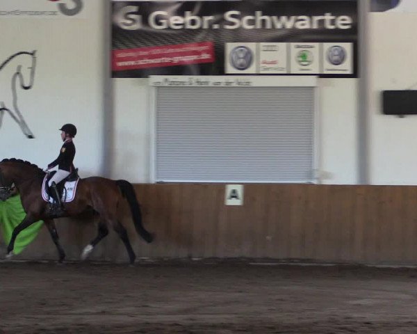 Reitturnier Dohren 2018