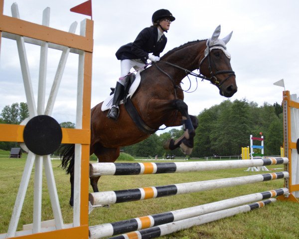 jumper Iris (German Sport Horse, 2006, from Rutowski)