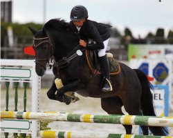 jumper Alexa B (German Riding Pony, 2003, from Viscount)