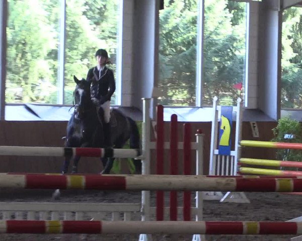 Reitturnier Dohren 2018