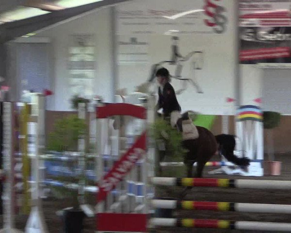 Reitturnier Dohren 2018