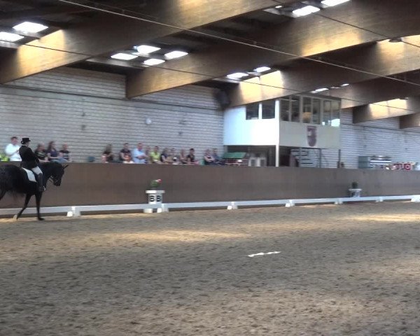 Reitturnier Leverkusen-Rheindorf 2018