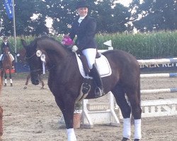 dressage horse Heinrich 46 (Hanoverian, 2006, from Hochadel)