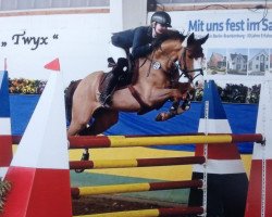 Springpferd Twyx (Deutsches Reitpony, 2006, von Top Anthony 2)