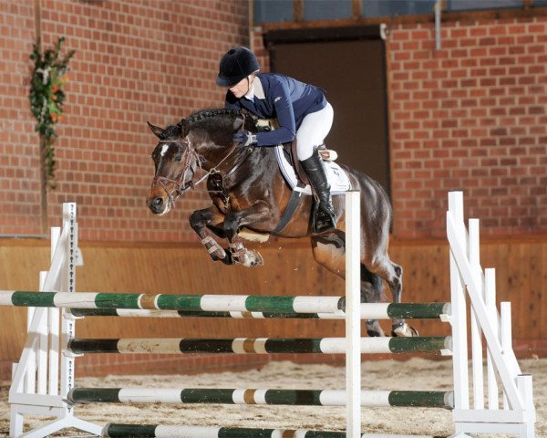 jumper MPS Hugo Boss WE (German Riding Pony, 2008, from Halifax)