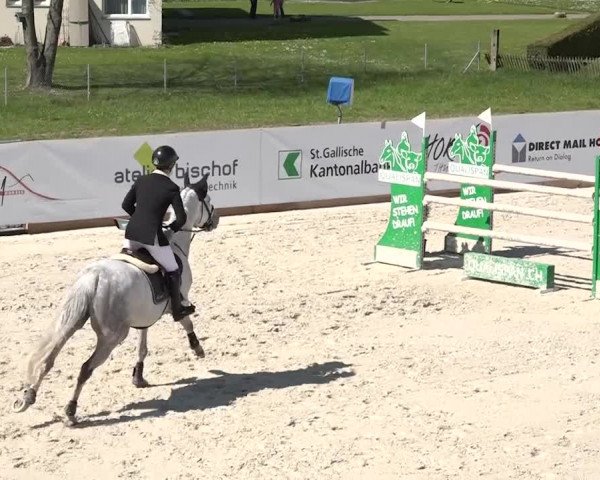 Reitturnier Horn 2018