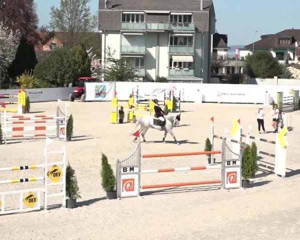 Reitturnier Horn 2018