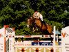 broodmare Tora VII (Trakehner, 1992, from Sir Shostakovich xx)