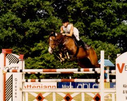 broodmare Tora VII (Trakehner, 1992, from Sir Shostakovich xx)