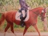 broodmare Cimberly 17 (German Riding Pony, 2003, from Giglberg Spotlight)