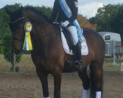 dressage horse Rosa Roth 7 (Bavarian, 2008, from Rotspon)