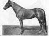 stallion Baron Wilkes 4758 (US) (American Trotter, 1882, from George Wilkes 519 (US))
