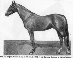 stallion Baron Wilkes 4758 (US) (American Trotter, 1882, from George Wilkes 519 (US))