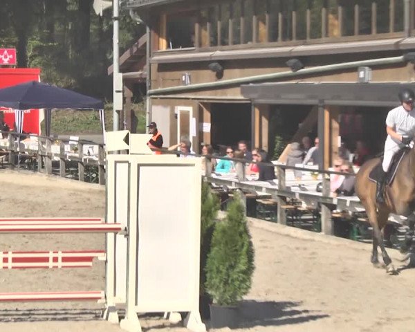 Reitturnier Sins-Attenschwil 2018