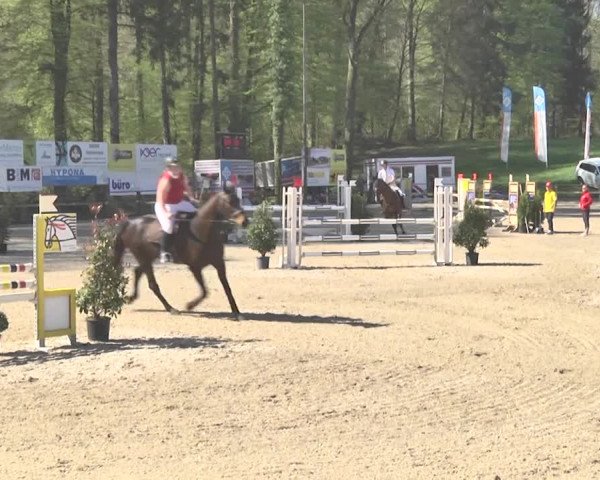 Reitturnier Sins-Attenschwil 2018