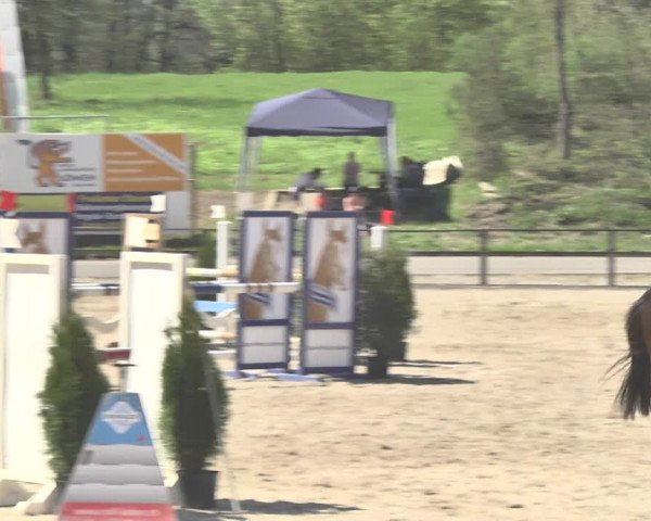 Reitturnier Sins-Attenschwil 2018