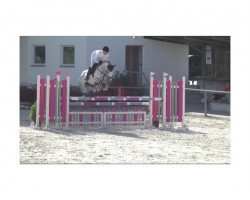 jumper Wildlevista (Bavarian, 2011, from Levisonn 208 FIN)