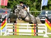 dressage horse Riccardas (Hanoverian, 2007, from Riccione)