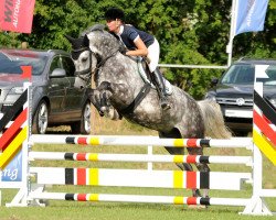 dressage horse Riccardas (Hanoverian, 2007, from Riccione)