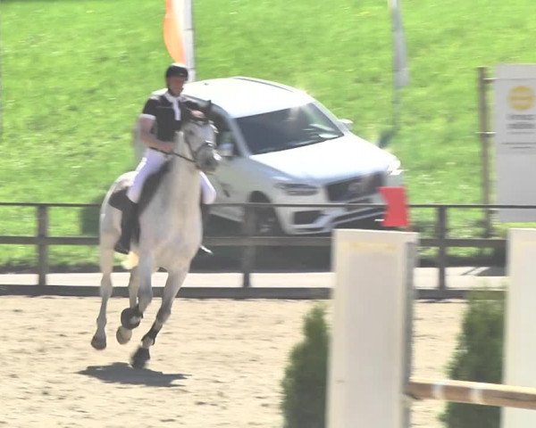 Reitturnier Sins-Attenschwil 2018