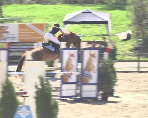 Reitturnier Sins-Attenschwil 2018