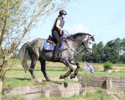 jumper Coquette Claire (Hanoverian, 2010, from Clinton I)