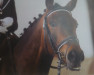 broodmare Larielle (German Riding Pony, 2008, from Leuns Veld's Lord)