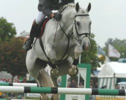 stallion Irco Miro GII (Swedish Warmblood, 1994, from Irco Mena)